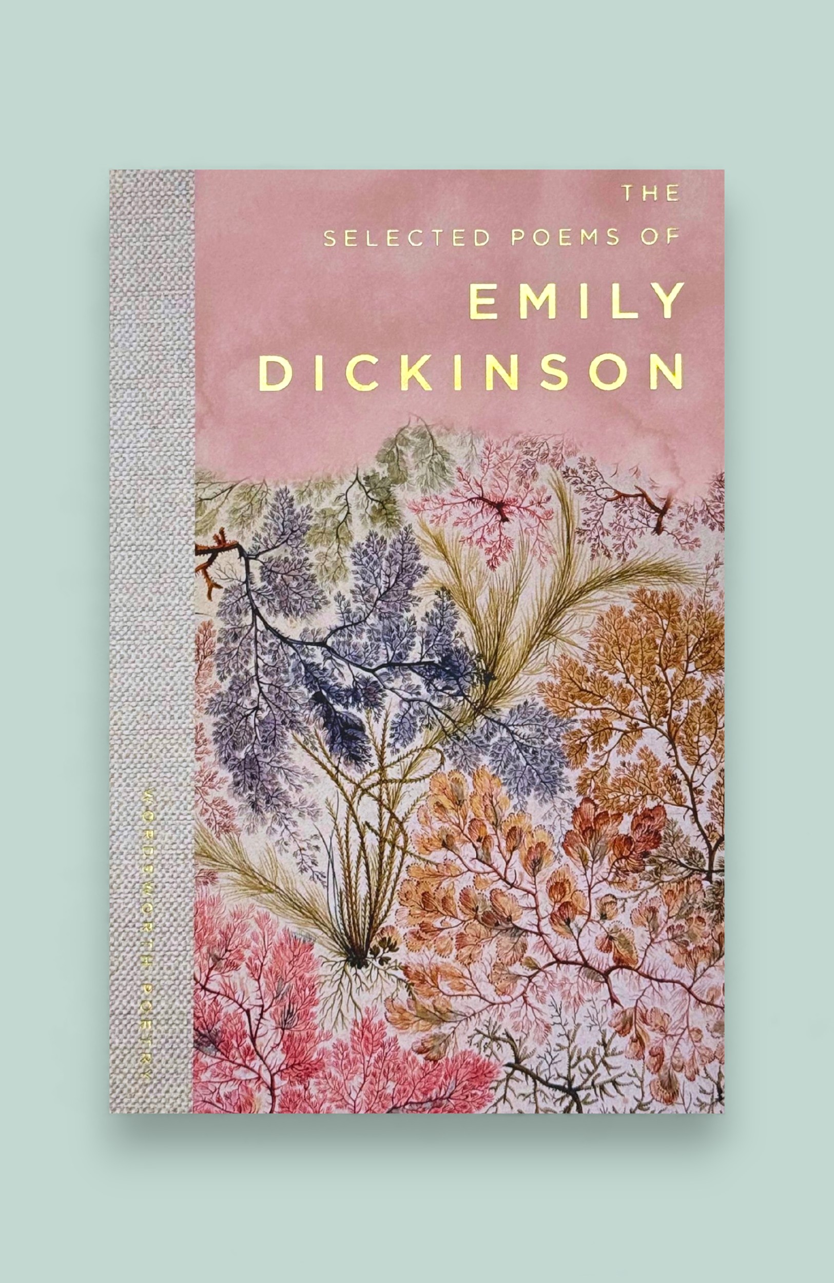 Selected Poems of Emily Dickinson