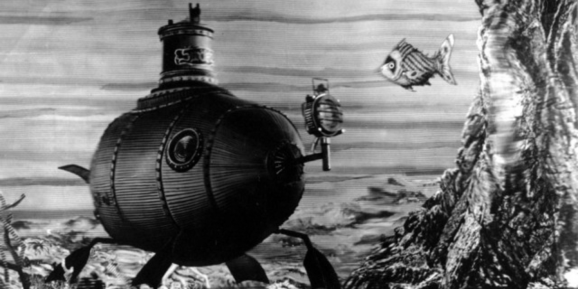 A Journey into the Imagination