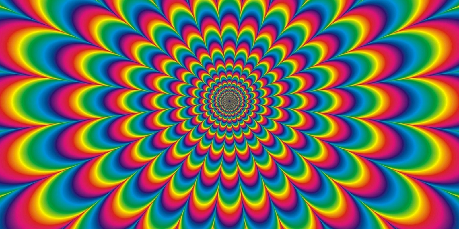 1967 – The Summer Of Love