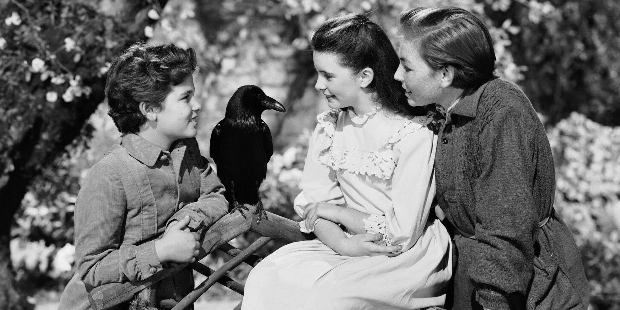 David Stuart Davies explores The Secret Garden