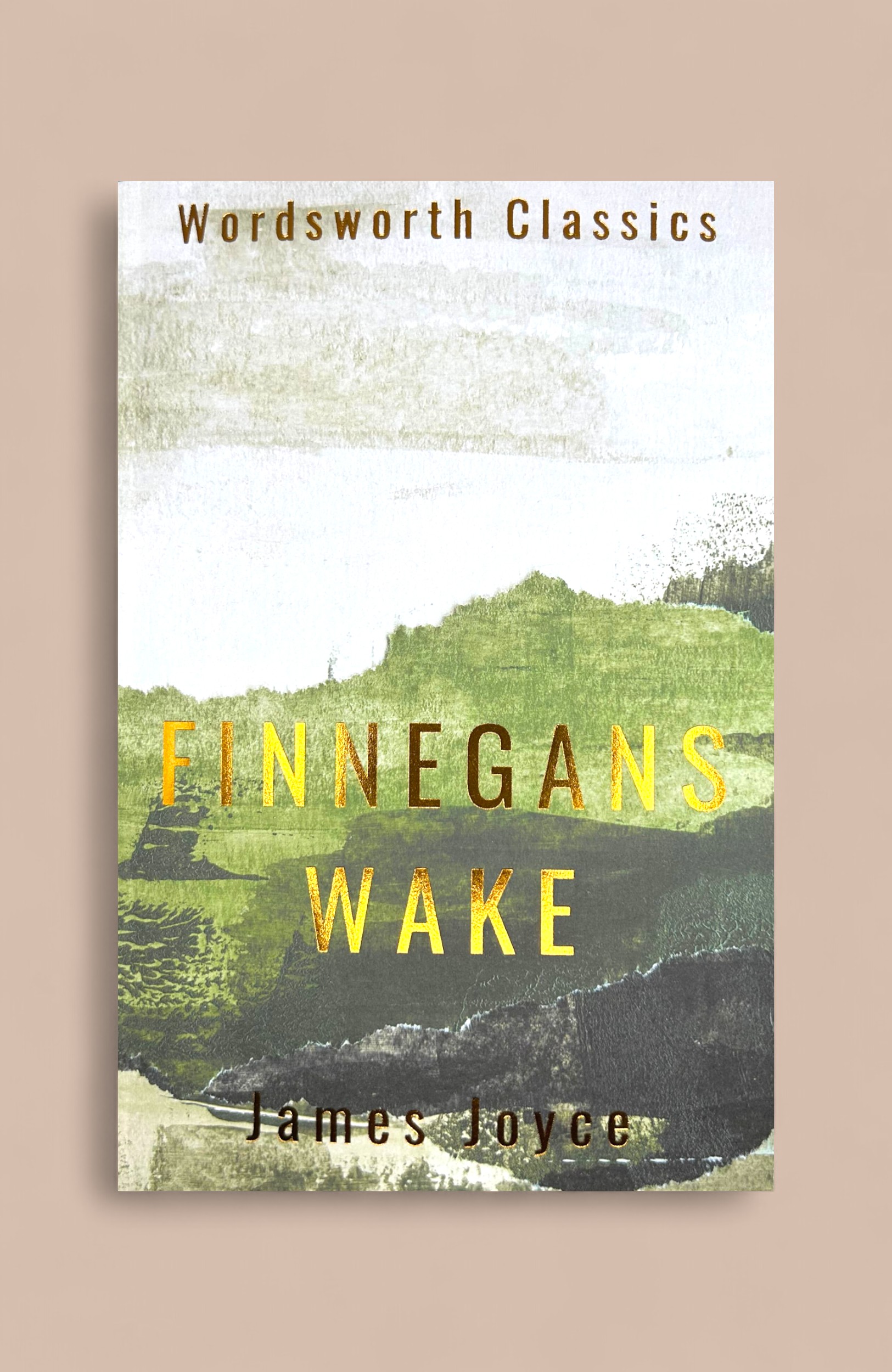 Finnegans Wake - 9781840226614