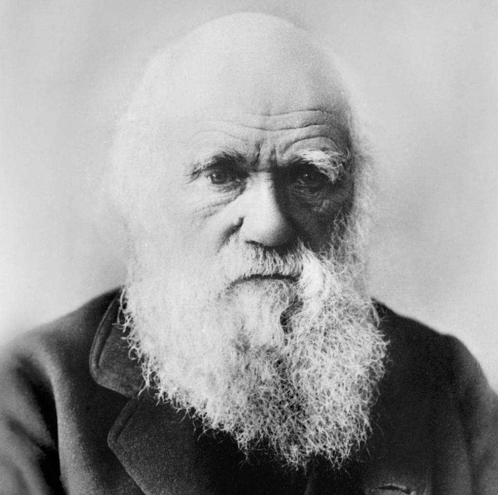 Charles Darwin - Author