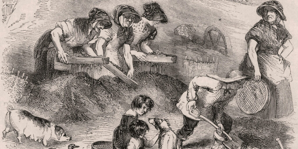 Women and children sifting household refuse in a dust yard in order to salvage anything that could be recycled, such as the pile of bones in the right foreground which would be taken to the glue factory. Engraving from 'London Labour and the London Poor' Mayhew