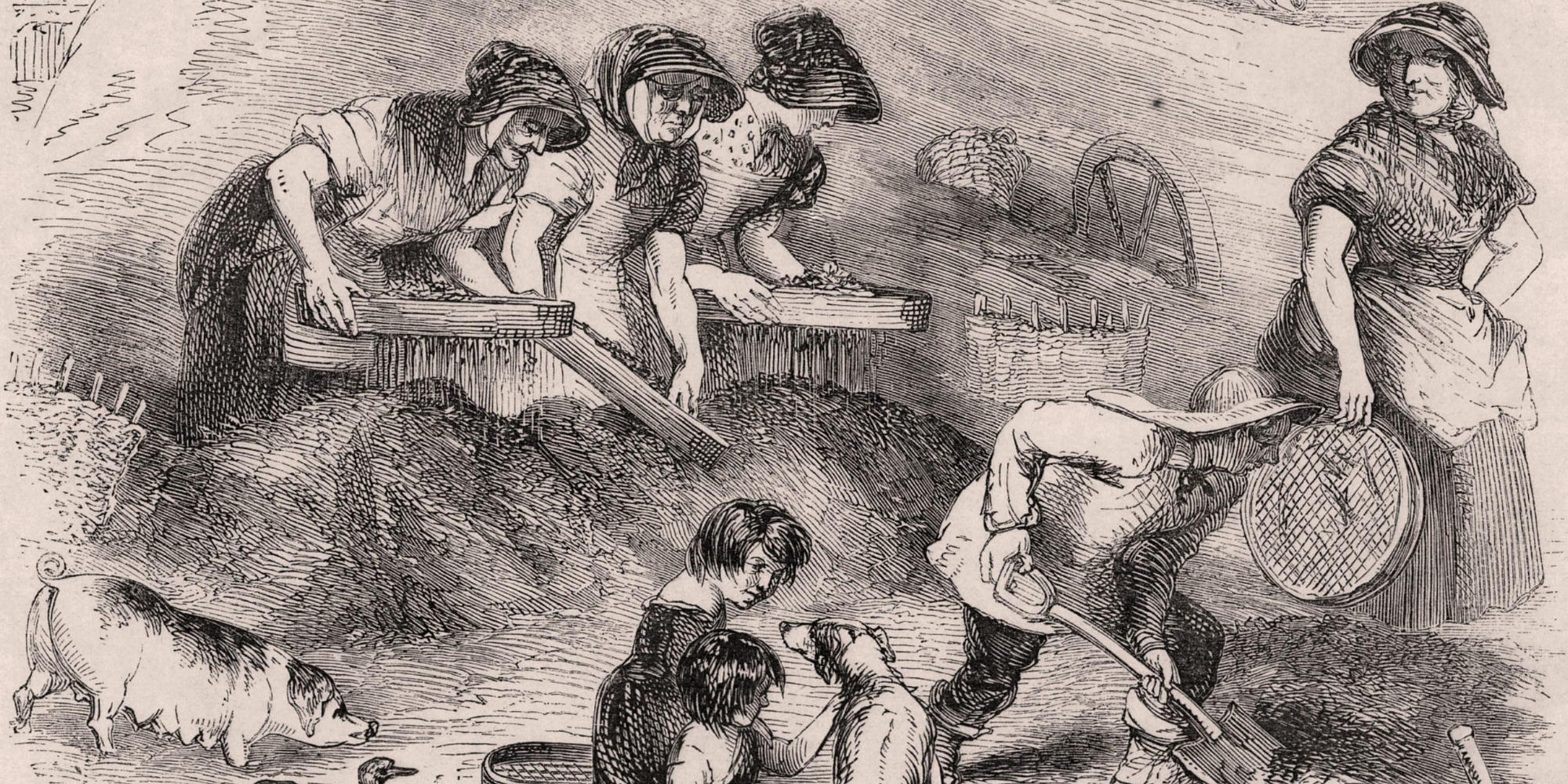 Women and children sifting household refuse in a dust yard in order to salvage anything that could be recycled, such as the pile of bones in the right foreground which would be taken to the glue factory. Engraving from 'London Labour and the London Poor'