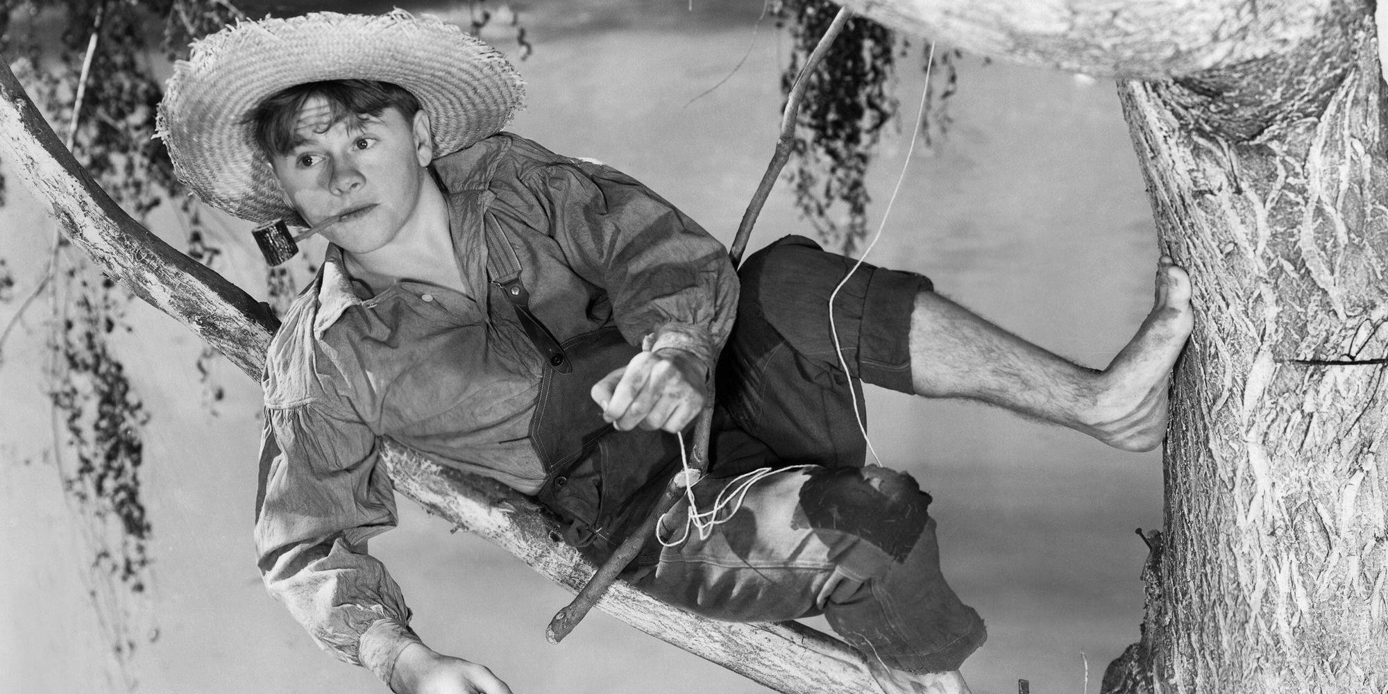 young boy dressed up as Huckleberry Finn fishing sitting in a tree Stock  Photo - Alamy