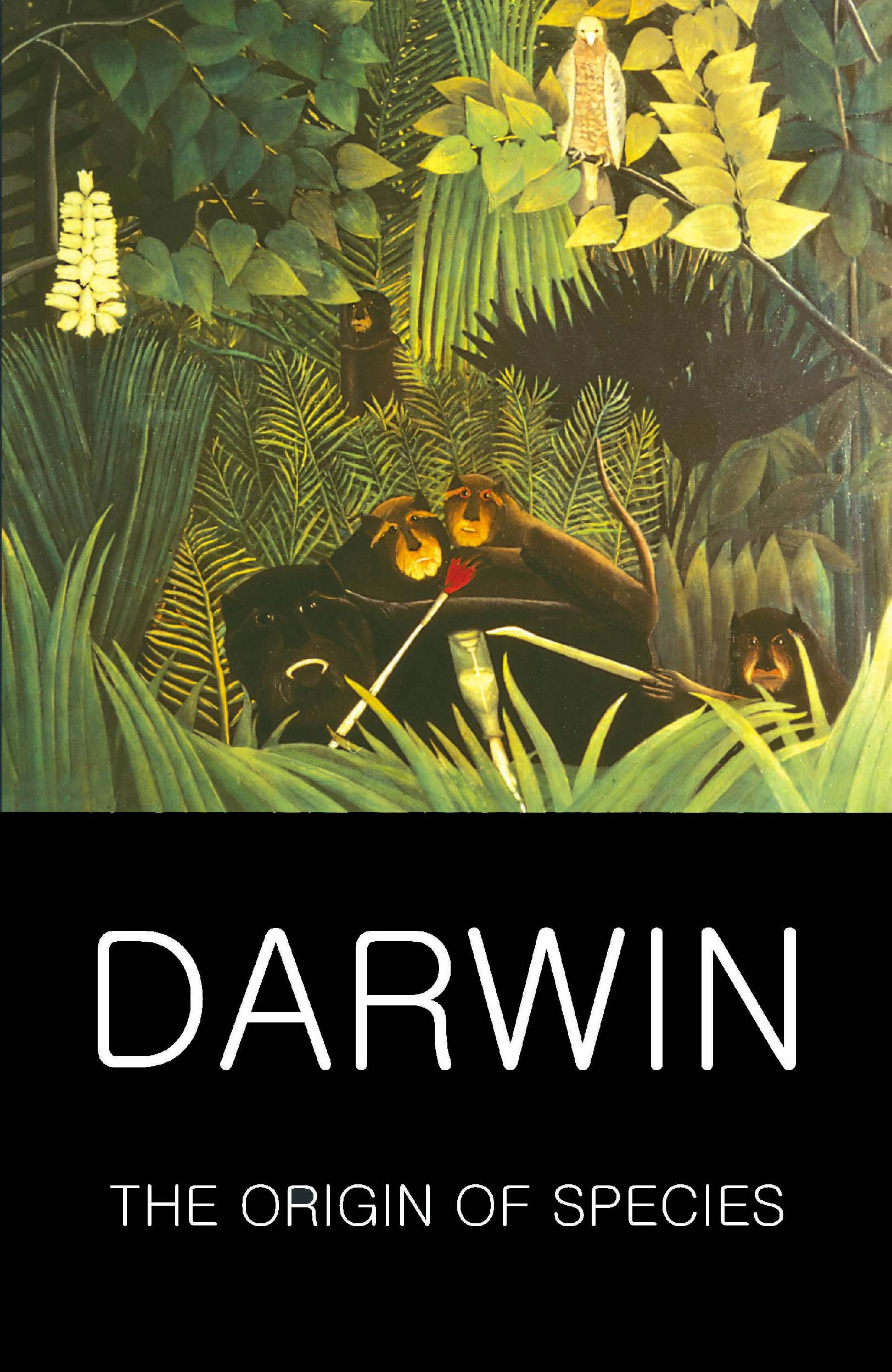 Origin of Species - Wordsworth Editions