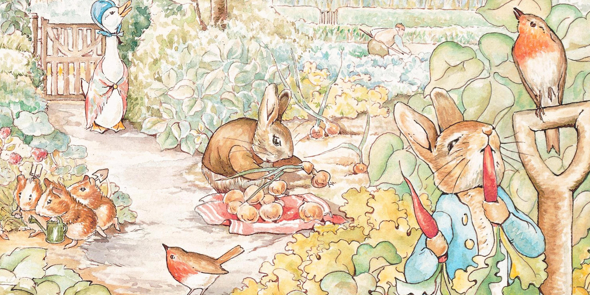 Beatrix Potter - Illustration History