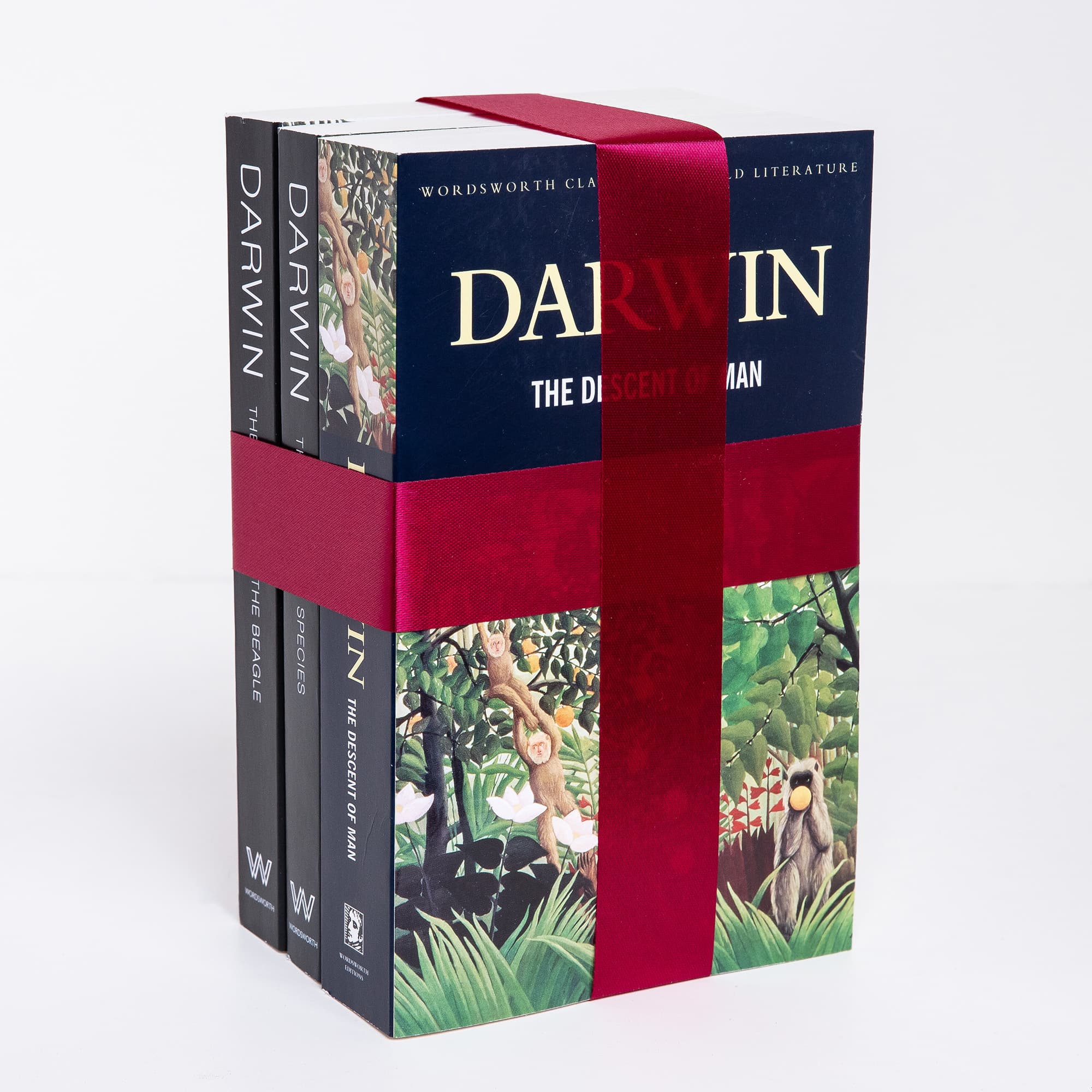 Darwin book gifts classic's