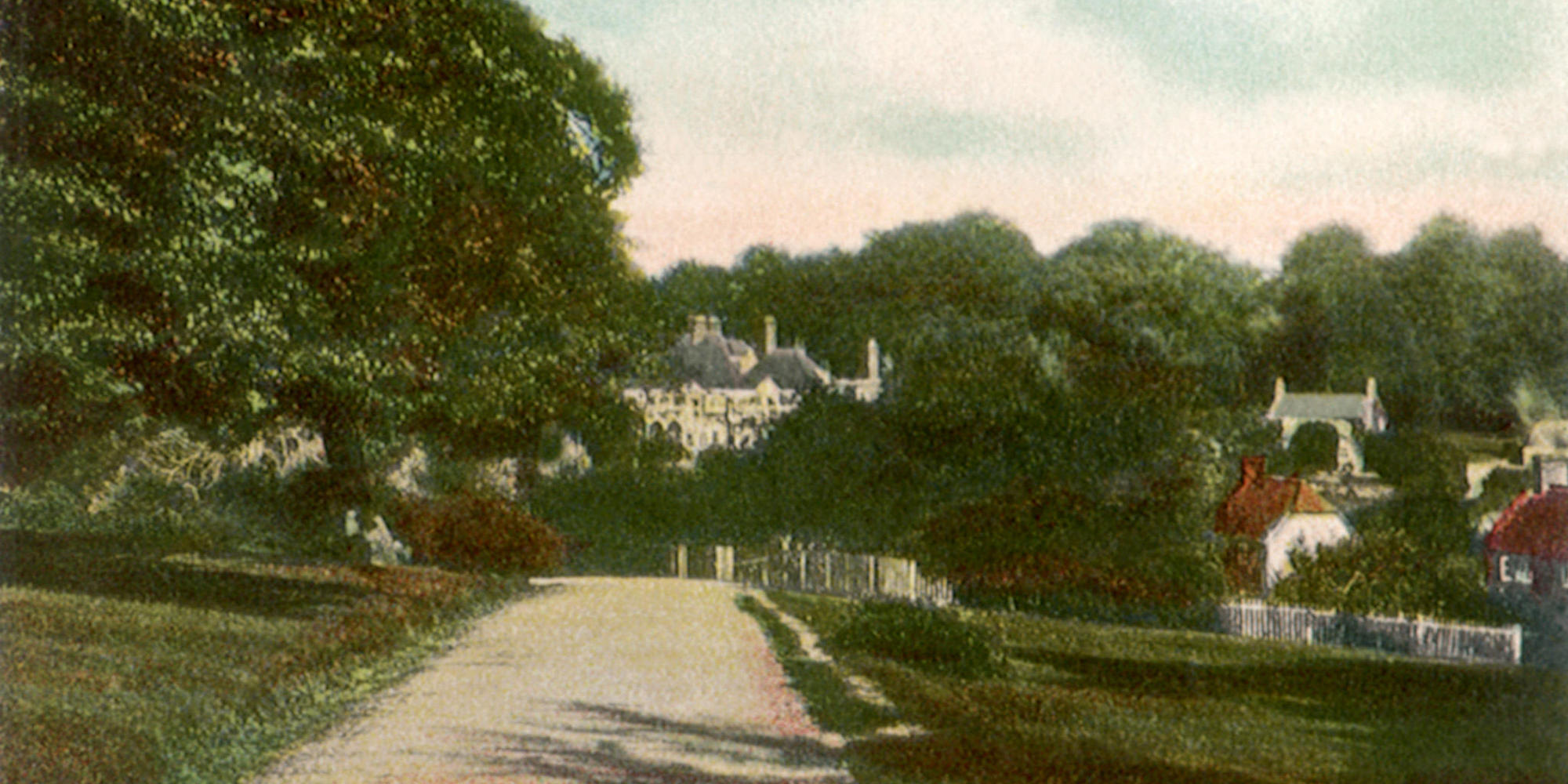 Bank at Lyndhurst, New Forest. c. 1910