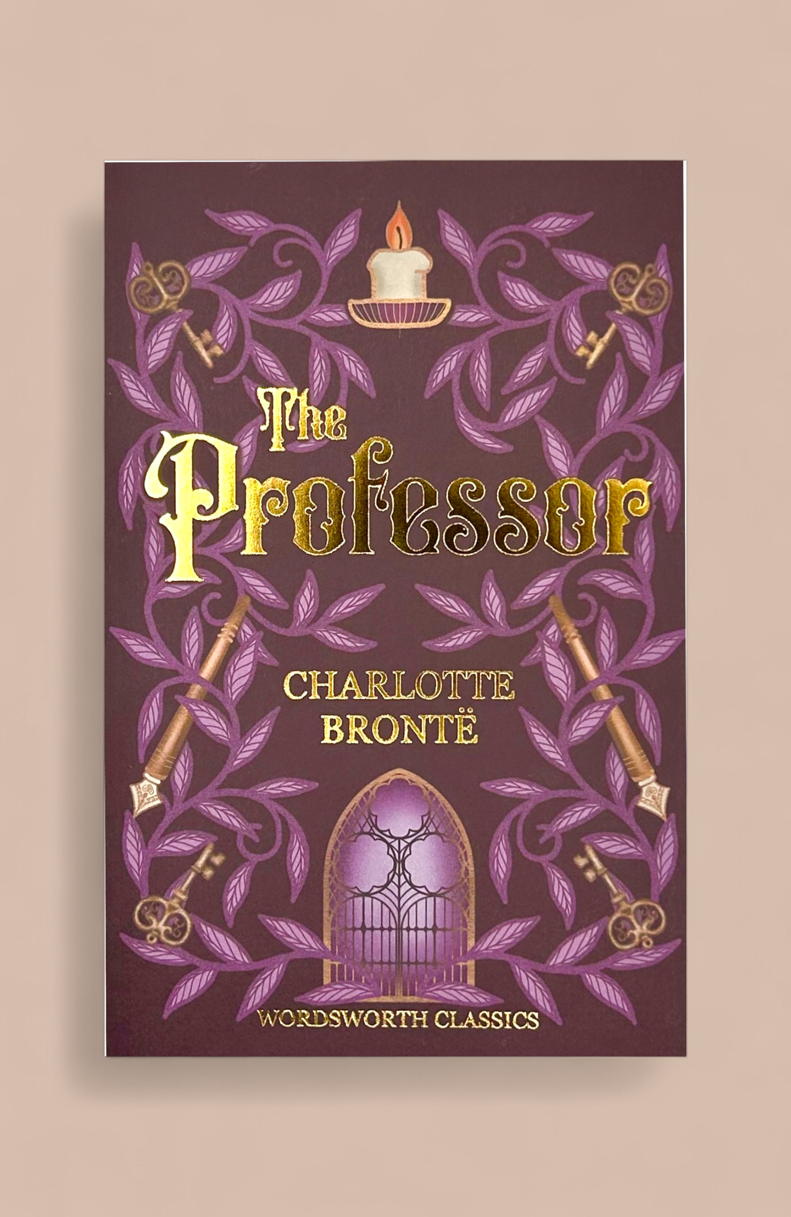 Professor